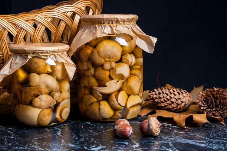 Маринированные грибы на зиму: 15 классных рецептов