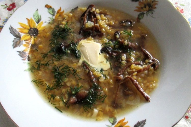 Суп из грибов опят: 15 самых простых и вкусных рецептов