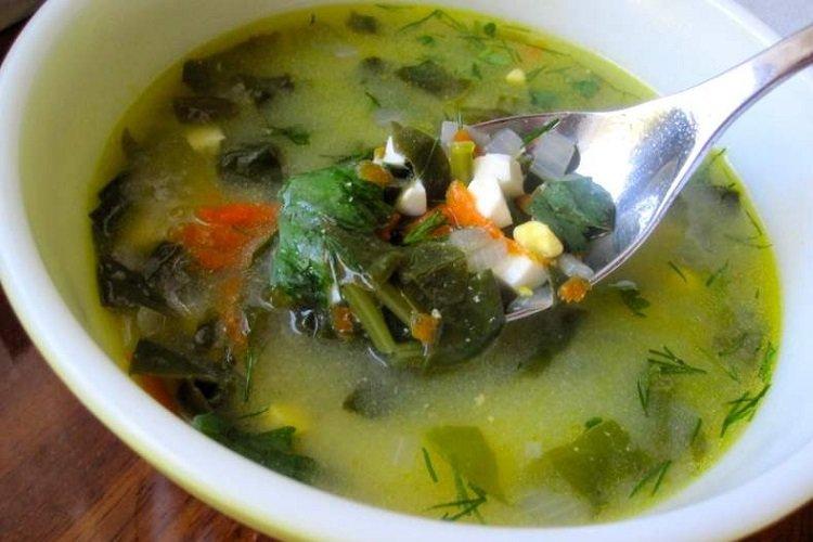 Суп с курицей - 15 аппетитных, простых и сытных рецептов