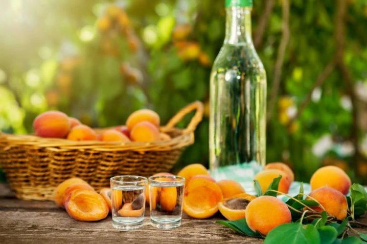 20 простых рецептов вина из абрикосов