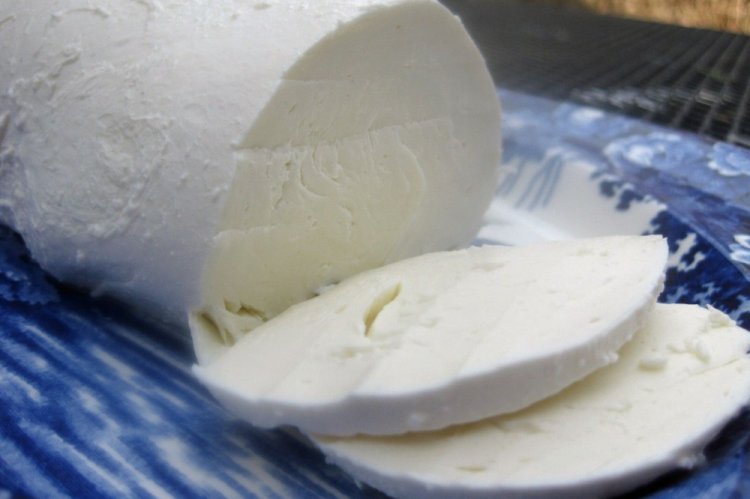 8 способов приготовить сыр из козьего молока в домашних условиях