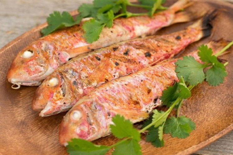 20 самых вкусных рецептов рыбы на гриле