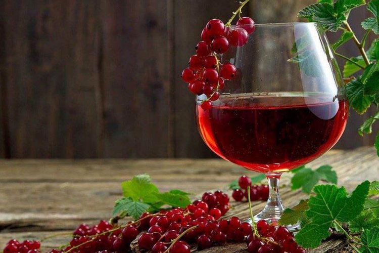 20 методов приготовления напитка из красной смородины