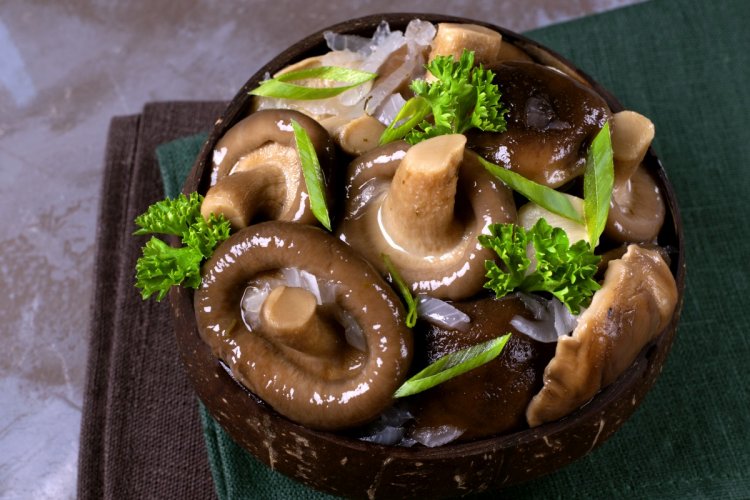 Как мариновать белые грибы: 10 замечательных рецептов на зиму (пошагово)