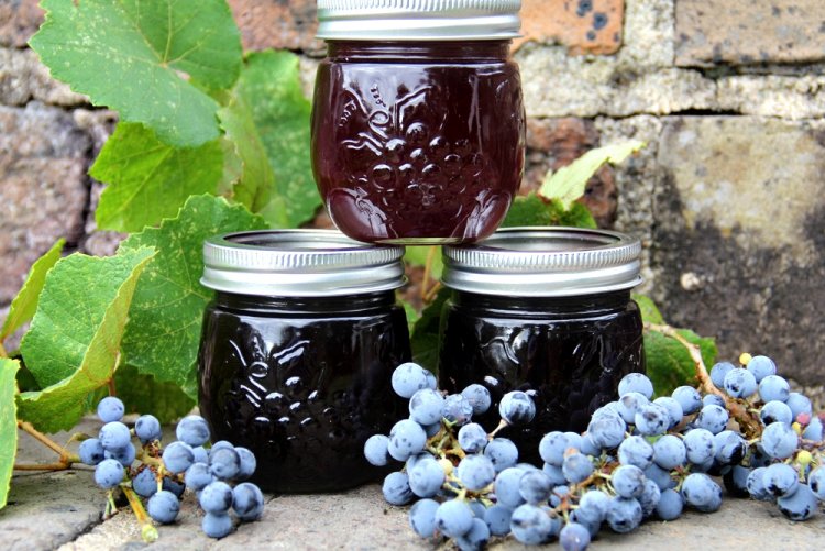 20 простых методов сделать джем из винограда