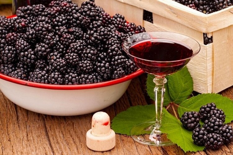 8 простых рецептов приготовления вина из черники