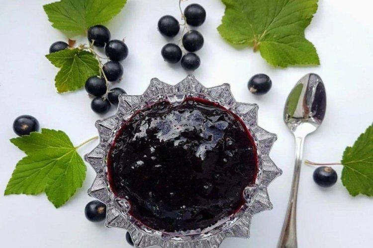 20 вкуснейших рецептов джема из черной смородины