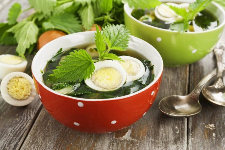 20 супов из кра­пивы, которые сможет приготовить каждый