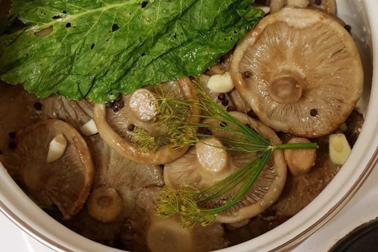Маринированные грибы на зиму: 15 классных рецептов
