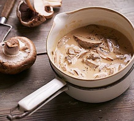 Рецепты соуса из белых грибов: азы приготовления
